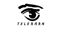 tb logo ws